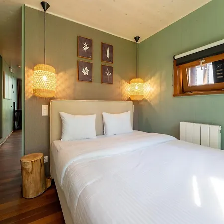 Spacious Retreat With Rooftop * Antoing