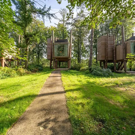 Spacious Retreat With Rooftop *