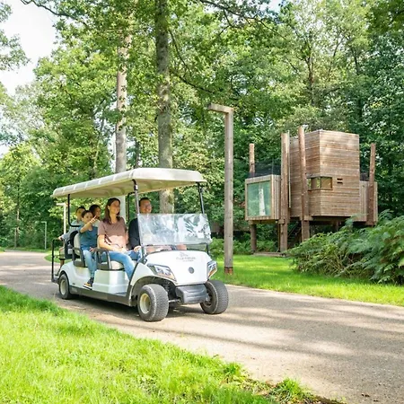 Spacious Retreat With Rooftop Vakantiehuis Antoing
